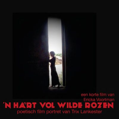 2018-HART-VOL-WILDE-ROZEN-affiche-62746b9e